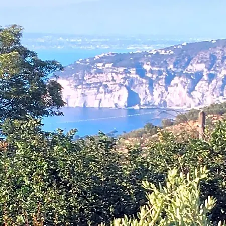 Bed and breakfast Annabelle SantʼAgata sui Due Golfi